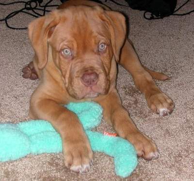 Luke as a baby...could you just melt!