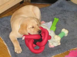 As a baby, Mango slept a lot...