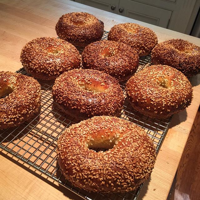 Good morning, Sourdough Egg Bagels Lauren Groveman