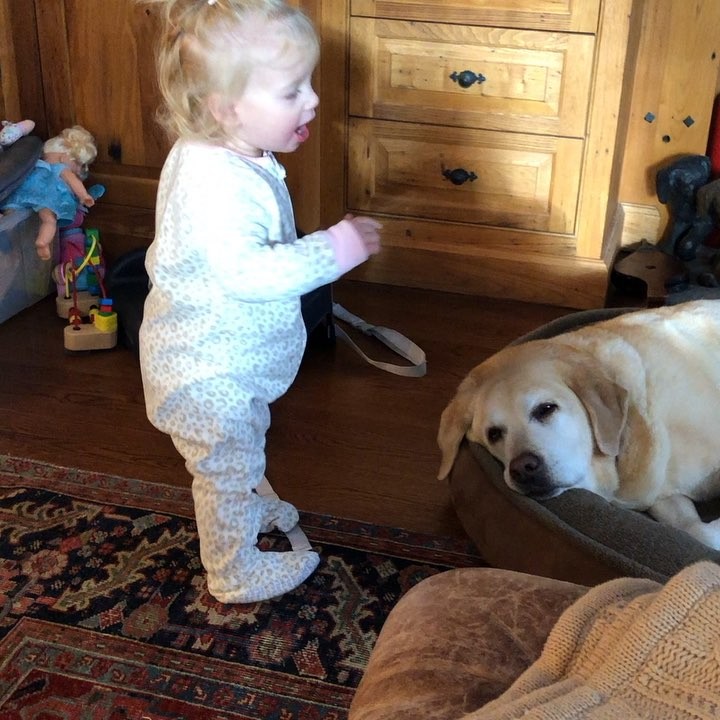 Do you think this child is ready for a puppy?? (Sound on